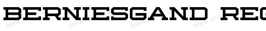 berniesgand regular字体转换 berniesgand regular字体转换